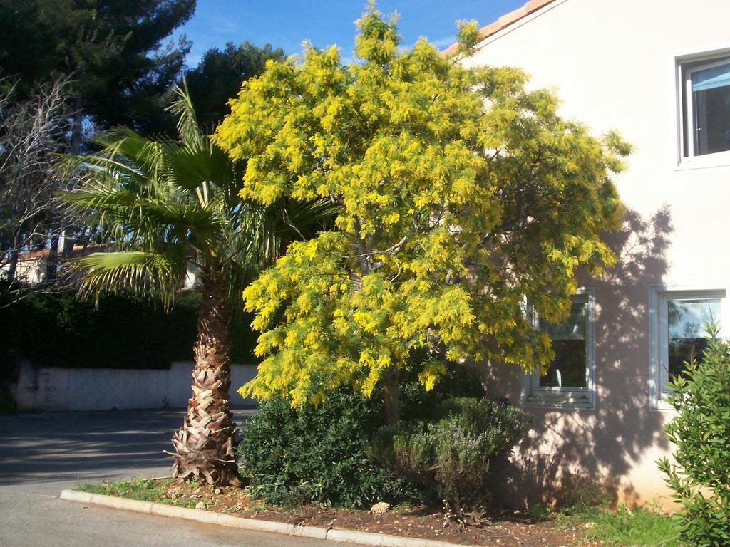 Stars Antibes Hotel Biot Luaran gambar